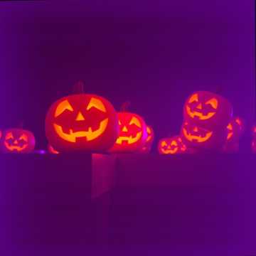 hooleys wawa cover art