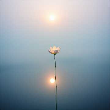 Slow Blooming Sky cover art