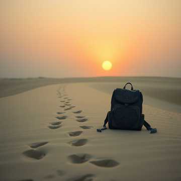 Wanderer, Where Are You Going cover art