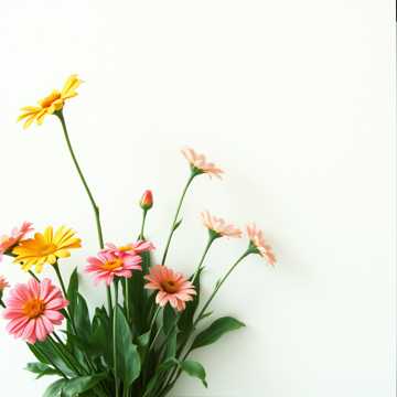 I am sorry blossom cover art