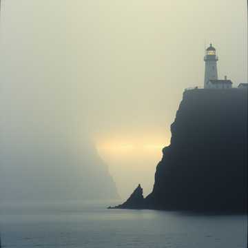 Shadows in the Static cover art