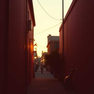 Late Afternoon Strings cover art