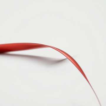 Pulpolitika cover art