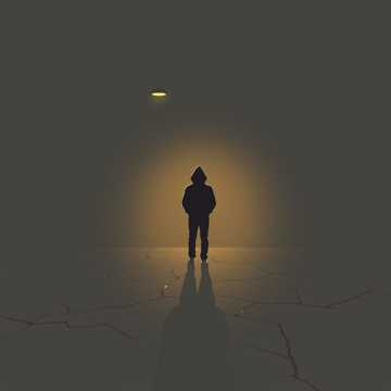 VEGALISATION cover art