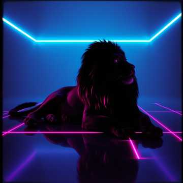 Black Lion Groove cover art