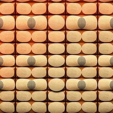 First Name In My Phone cover art