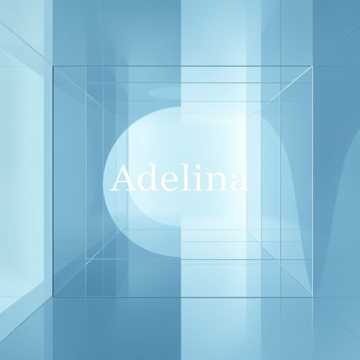 Suntem Adelina Ștef cover art