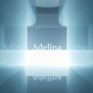 Suntem Adelina Ștef cover art