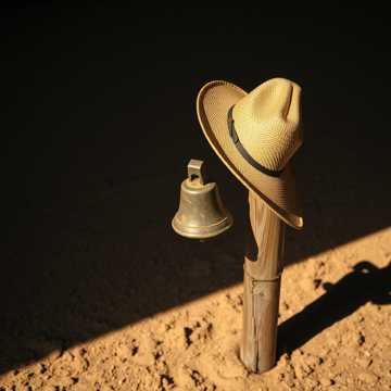 O Dia em que Lídio Mordeu o Fucinho da Vaca cover art