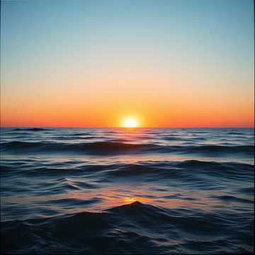 Te Iubesc, Daniel cover art