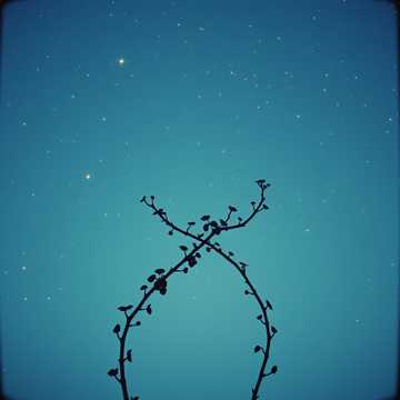 Soarta a Decis cover art