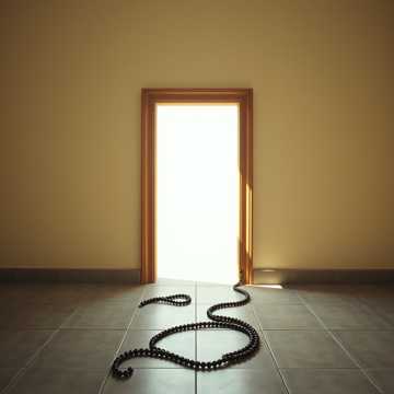 Te iubesc David cover art