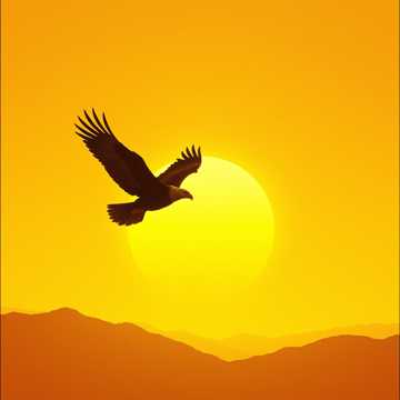 Stronger Than the African Sun cover art