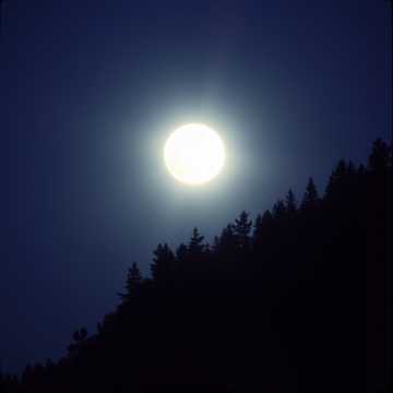 🎵 “Yume no Kage” (Sombras del Sueño) cover art