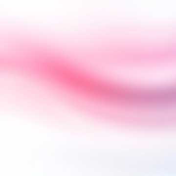 Frozen Petals Above The Steppe cover art