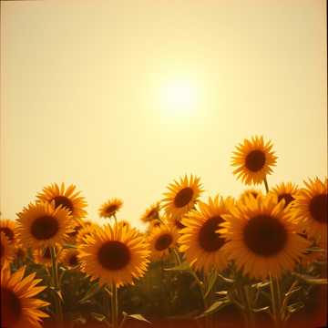 Viața e grea cover art