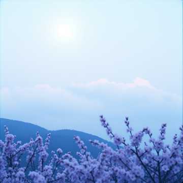 Sapno Mein Bas Tu cover art