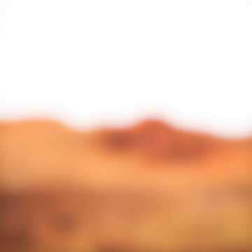 у монаха cover art