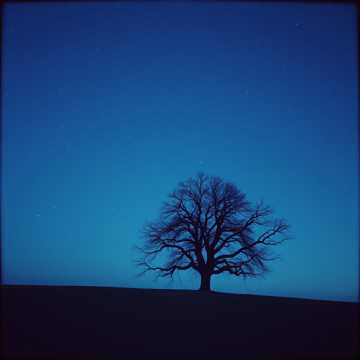 Adakah Aku? cover art