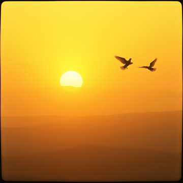 Come Lord to Romania cover art