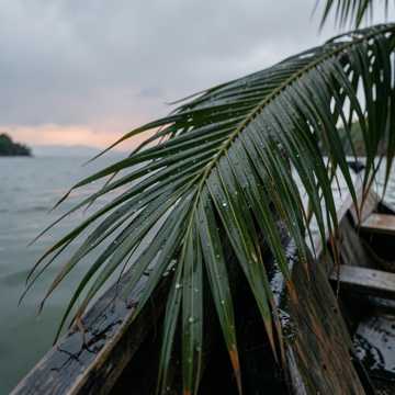 Vavina Taubar cover art