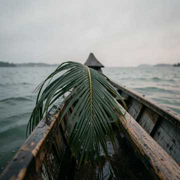 Vavina Taubar cover art