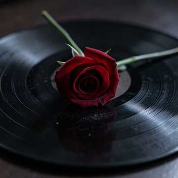 Days of Mom cover art