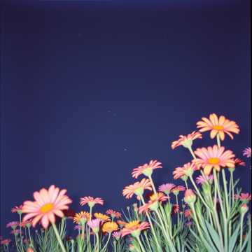 Masih Ada Kamu cover art