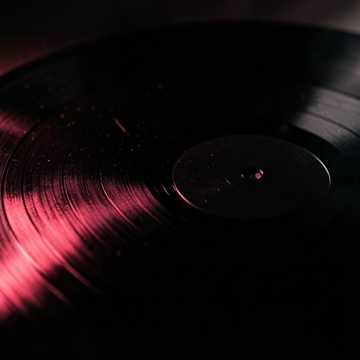 witness what you do cover art