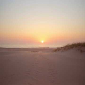 Y fuiste tú! cover art