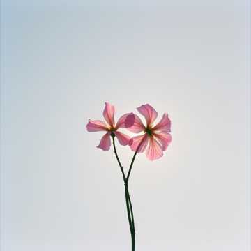 18 ani împreună cover art