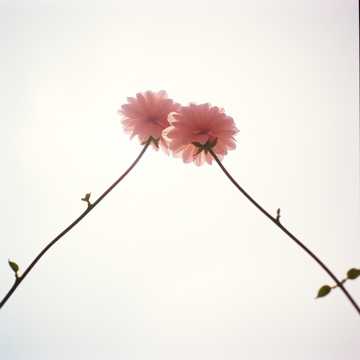 18 ani împreună cover art