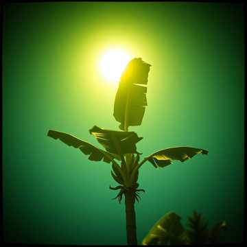 Ifound love cover art