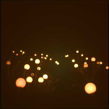 De 18 ani iubita mea Dana cover art