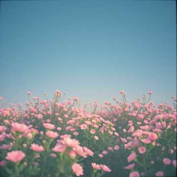 „Funia-n trei” cover art