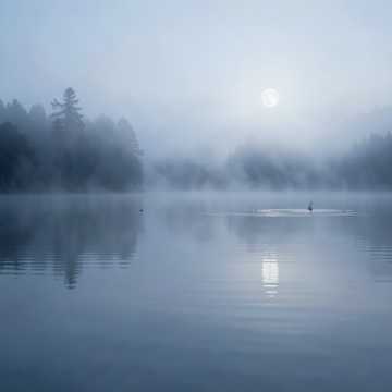 Mist Over Still Water cover art