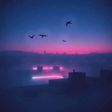 Птахи над бетоном cover art