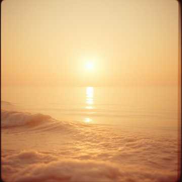 Paso a Paso cover art