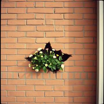 din noroi in lumina cover art