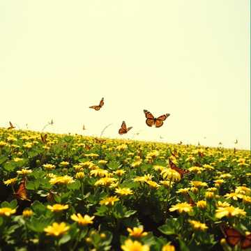 Through the Clover cover art