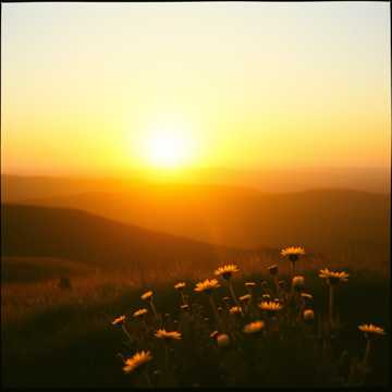 Alegeri pentru viitor cover art