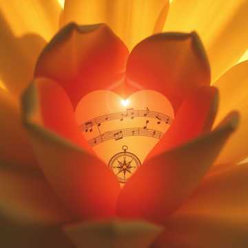 „Optsprezece ani cu Daniela” cover art