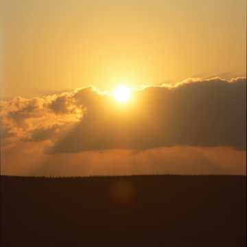 Danielaaaaaaaa cover art