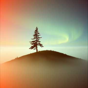 W głąb ciszy cover art