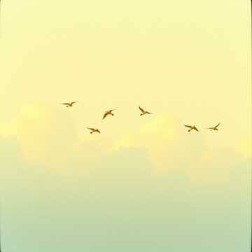 Gloria a Dios cover art