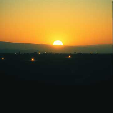 Coming Home cover art