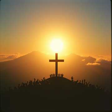 They Sold the Land cover art