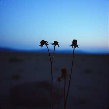 Ujung lelah cover art