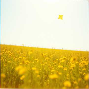 Sunny Skies Ahead cover art