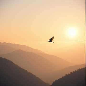 Beyond the highest of skies cover art